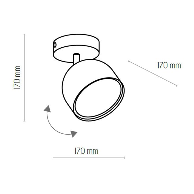 TK Lighting 3414 ALTEA lampa sufitowa