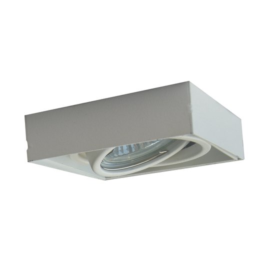 Zuma Line 94361-WH ONEON DL 50-1 lampa sufitowa